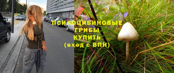 мескалин Алексин