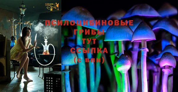 прущий лед Алзамай