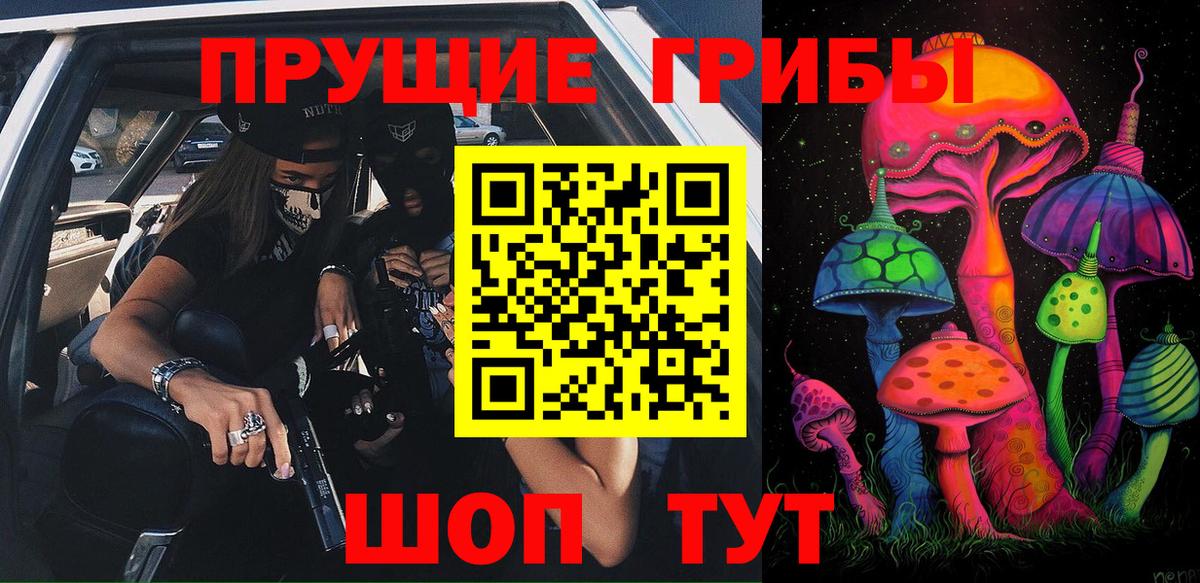 Галлюциногенные грибы Psilocybine cubensis Ступино