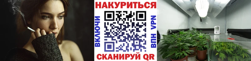 Бошки Шишки ГИДРОПОН  Ступино 